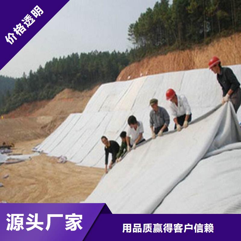 双向塑料土工格栅视频-双向塑料土工格栅-恒丰塑业(内江市分公司)服务区域隆昌|威远|自贡|巴中|凉山|成都|攀枝花|眉山