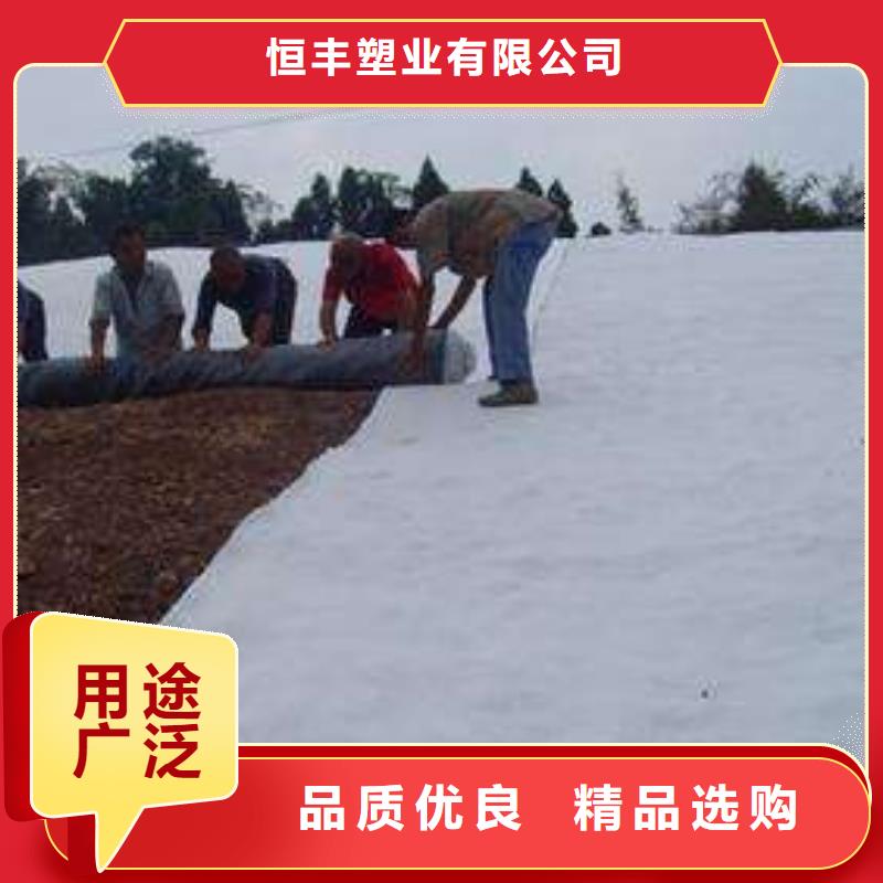 双向塑料土工格栅-视频-牡丹江市双向塑料土工格栅-恒丰塑业(牡丹江市分公司)服务区域阳明|海林|哈尔滨|鹤岗|黑河|大庆|大兴安岭|佳木斯|齐齐哈尔