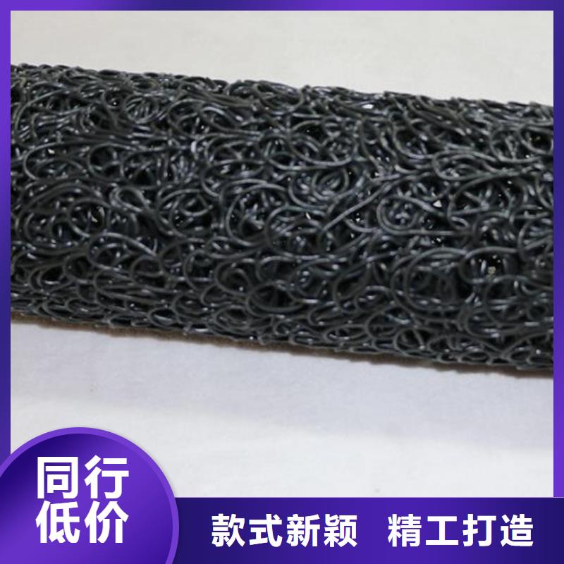 双向塑料土工格栅视频-四川省巴中市恒丰双向塑料土工格栅可服务区域通江|巴州|阿坝|雅安|乐山|广安|甘孜|眉山|宜宾等