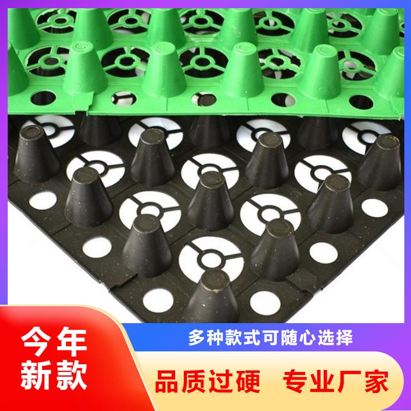 双向塑料土工格栅视频-双向塑料土工格栅-四川省遂宁市该地厂家-船山|射洪|广元|泸州|成都|阿坝|眉山|攀枝花|宜宾