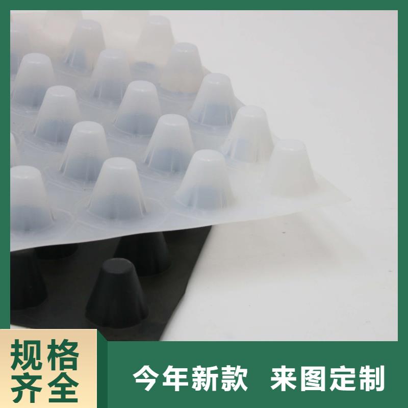 排水板_土工布质量优选