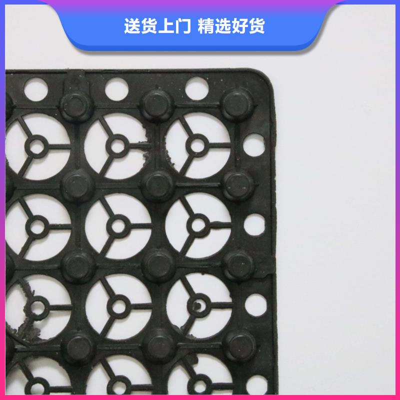 排水板土工滤网现货实拍