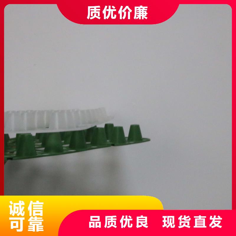 排水板土工滤网现货实拍