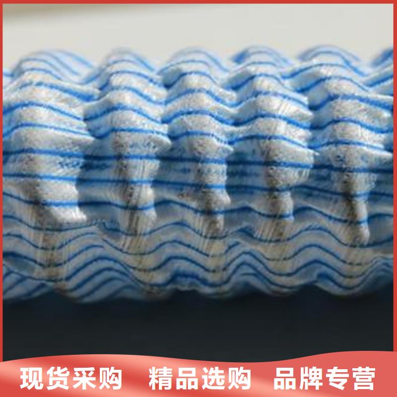 双向塑料土工格栅视频-双向塑料土工格栅_甘肃省酒泉市市场覆盖敦煌|玉门|定西|天水|平凉|临夏|陇南|庆阳等
