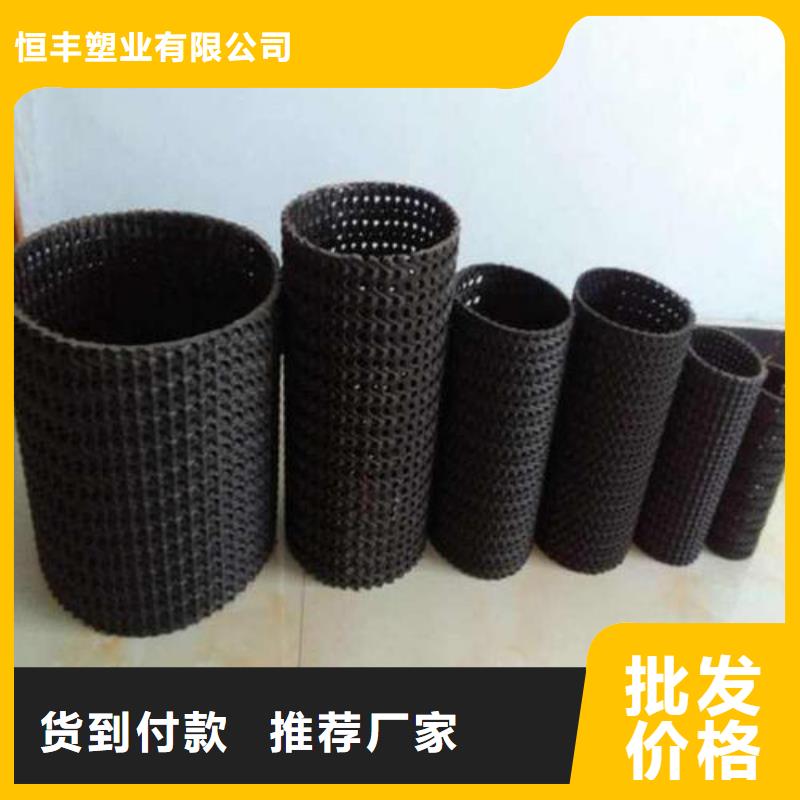 双向塑料土工格栅-视频-延吉|和龙|四平|通化|吉林|辽源|长春双向塑料土工格栅现货采购-恒丰塑业(延边市分公司)