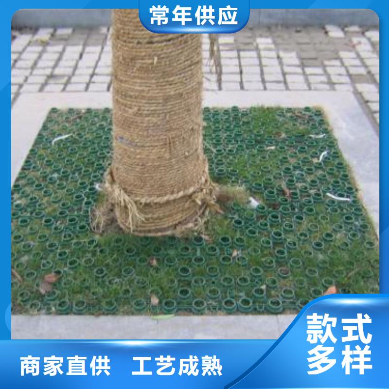 双向塑料土工格栅-视频-黑龙江省大庆市|让胡路|林甸|大兴安岭|佳木斯|齐齐哈尔|黑河|牡丹江|鹤岗|绥化双向塑料土工格栅-恒丰