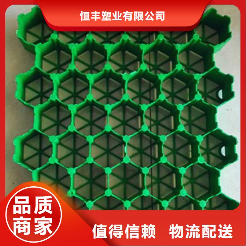 双向塑料土工格栅-视频-香港双向塑料土工格栅-直辖香港(同城)货源