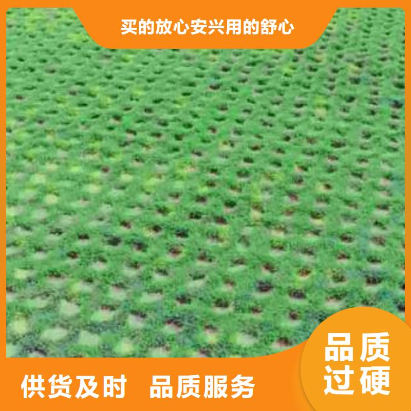 双向塑料土工格栅-视频-黑龙江省大庆市|让胡路|林甸|大兴安岭|佳木斯|齐齐哈尔|黑河|牡丹江|鹤岗|绥化双向塑料土工格栅-恒丰