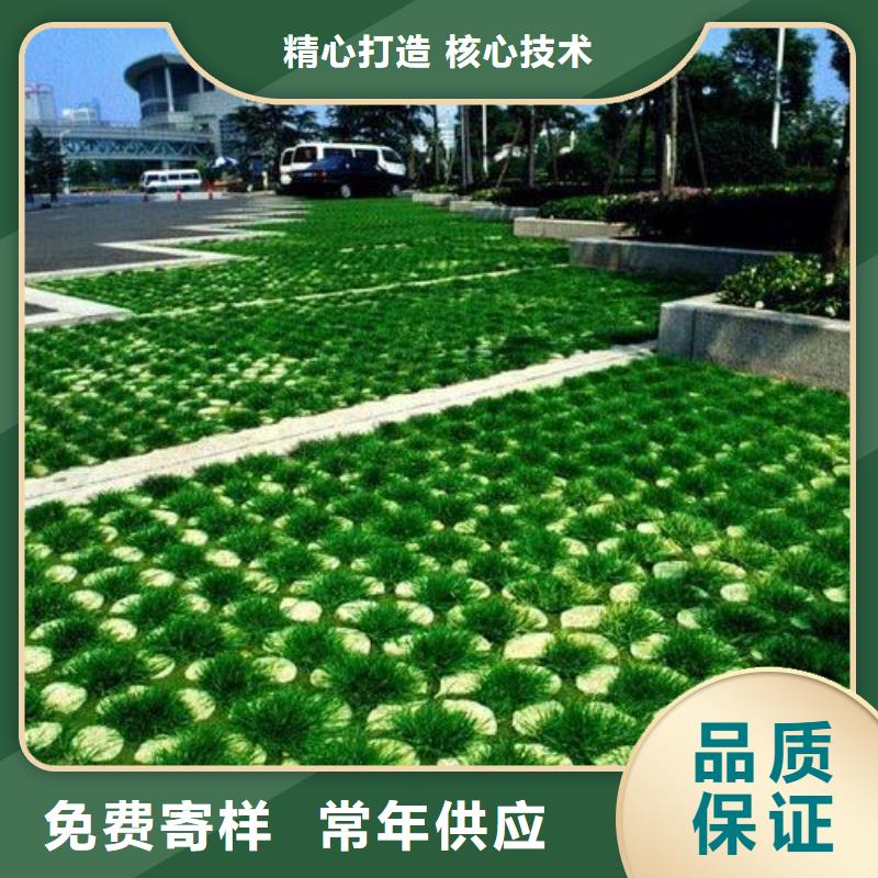 双向塑料土工格栅-视频-黑龙江省大庆市|让胡路|林甸|大兴安岭|佳木斯|齐齐哈尔|黑河|牡丹江|鹤岗|绥化双向塑料土工格栅-恒丰