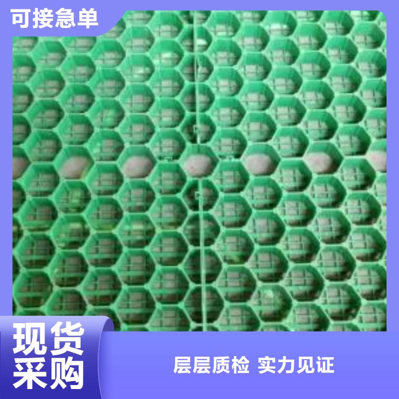 双向塑料土工格栅-视频-黑龙江省大庆市|让胡路|林甸|大兴安岭|佳木斯|齐齐哈尔|黑河|牡丹江|鹤岗|绥化双向塑料土工格栅-恒丰