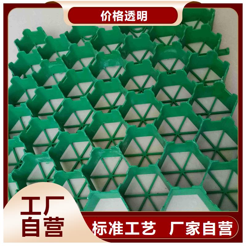 双向塑料土工格栅-视频-黑龙江省大庆市|让胡路|林甸|大兴安岭|佳木斯|齐齐哈尔|黑河|牡丹江|鹤岗|绥化双向塑料土工格栅-恒丰