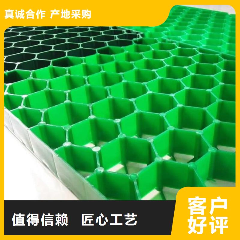 双向塑料土工格栅-视频-黑龙江省大庆市|让胡路|林甸|大兴安岭|佳木斯|齐齐哈尔|黑河|牡丹江|鹤岗|绥化双向塑料土工格栅-恒丰