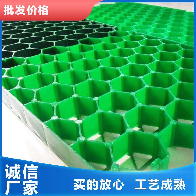 植草格,塑料土工滤网货源直销