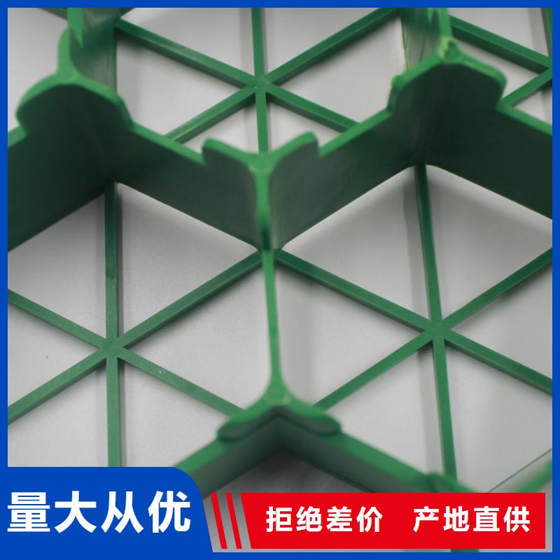 国标检测放心购买【植草格】,双向拉伸塑料格栅品质信得过-当地支持拿样_产品案例