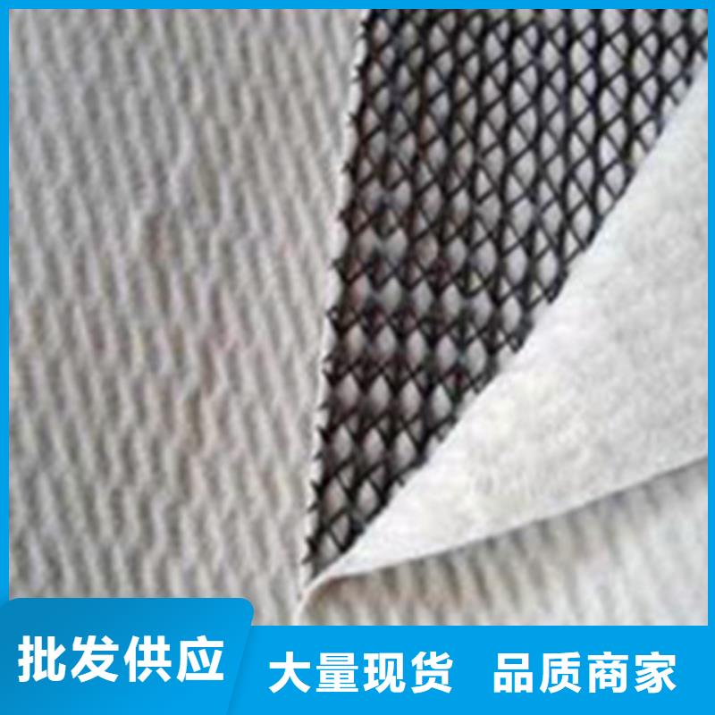 双向塑料土工格栅-视频-绵阳市双向塑料土工格栅-(同城)可服务区域梓潼|安县|泸州|广元|甘孜|德阳|巴中