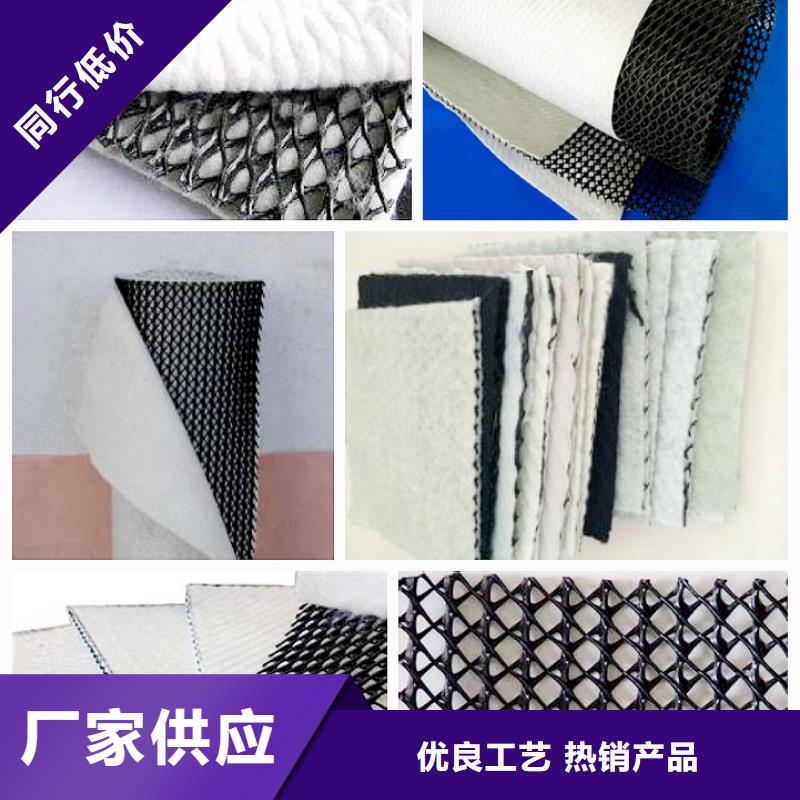 双向塑料土工格栅-视频-双向塑料土工格栅|绵阳市|三台|江油|甘孜|德阳|阿坝|广元|广安|眉山|雅安
