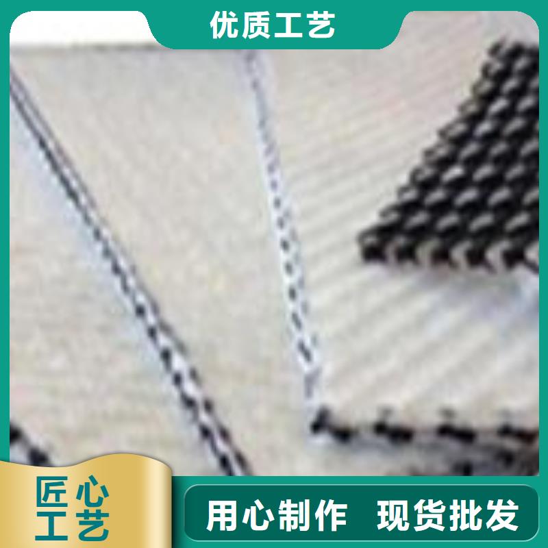 三维复合排水网单向塑料土工格栅适用场景