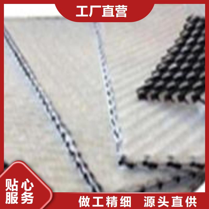 双向塑料土工格栅视频-双向塑料土工格栅_黑龙江省市场覆盖佳木斯|齐齐哈尔|大庆|鹤岗|牡丹江|绥化|大兴安岭等
