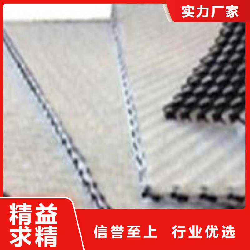 双向塑料土工格栅-视频-双向塑料土工格栅|绵阳市|三台|江油|甘孜|德阳|阿坝|广元|广安|眉山|雅安