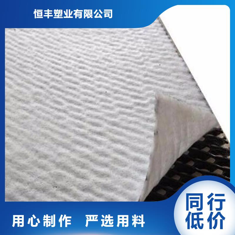 双向塑料土工格栅-视频-绵阳市双向塑料土工格栅-(同城)可服务区域梓潼|安县|泸州|广元|甘孜|德阳|巴中