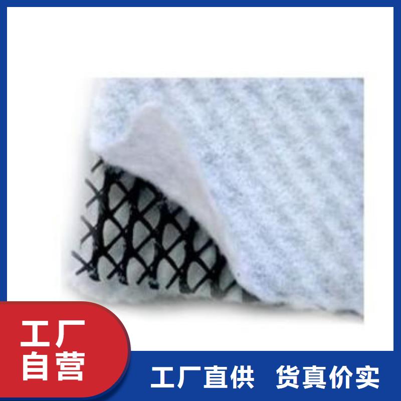 双向塑料土工格栅-视频-绵阳市双向塑料土工格栅-(同城)可服务区域梓潼|安县|泸州|广元|甘孜|德阳|巴中