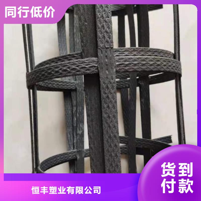 双向塑料土工格栅视频-双向塑料土工格栅-甘肃省临夏市广河|康乐|嘉峪关|甘南|陇南|庆阳|酒泉|平凉|张掖同城厂家