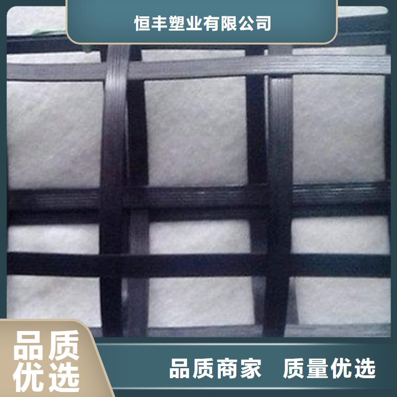 pp焊接土工格栅-三维植被网为品质而生产