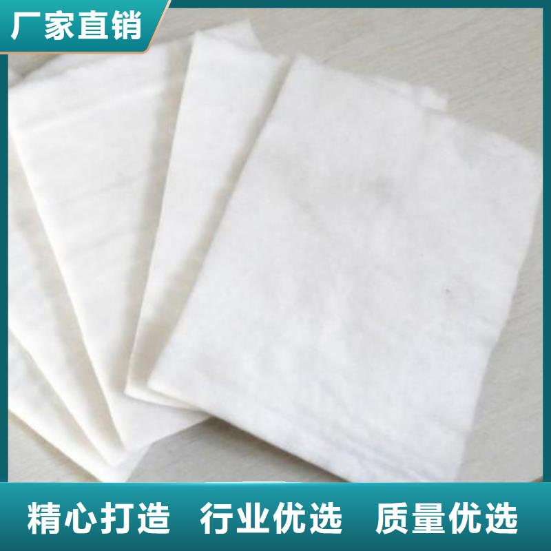 土工布涤纶土工格栅质量层层把关