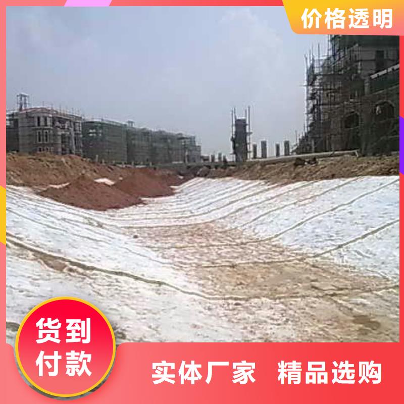 膨润土防水毯-玻纤土工格栅优质原料