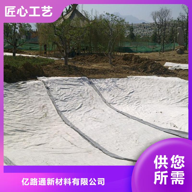 膨润土防水毯【透水土工布】批发货源