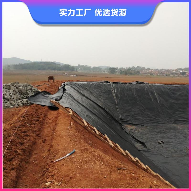 土工膜反滤土工布供货及时