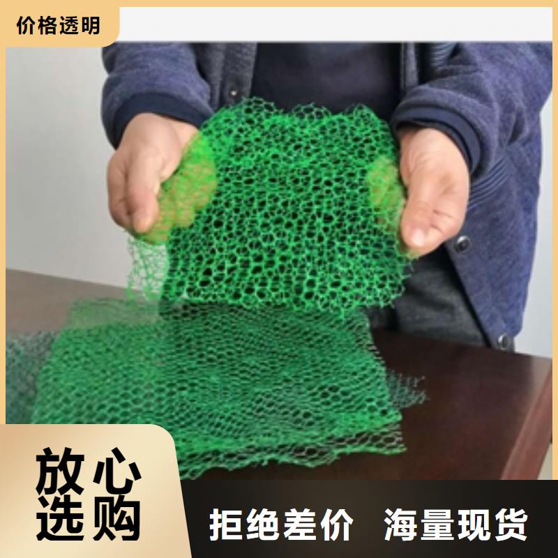三维植被网玻纤土工格栅高品质诚信厂家