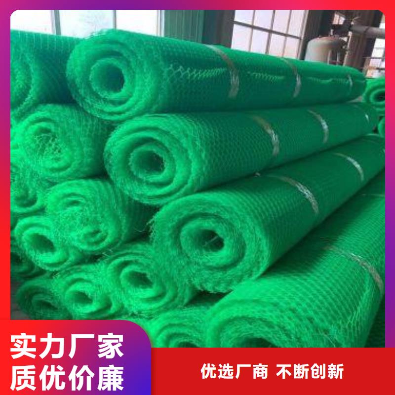 三维植被网-涤纶土工格栅一站式采购