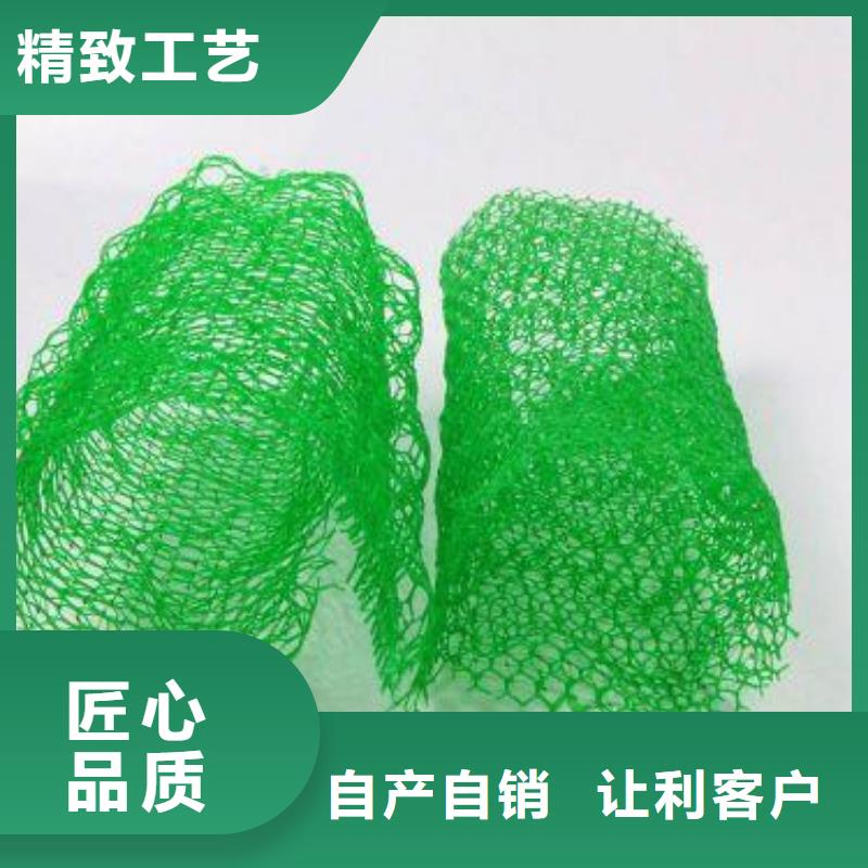三维植被网HDPE土工膜厂家批发价