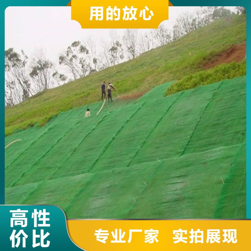 三维植被网-涤纶土工格栅一站式采购