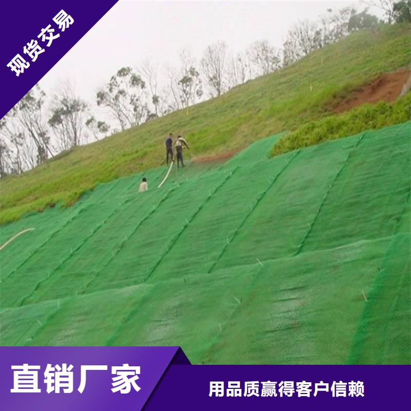 三维植被网,【三维土工网垫】产地货源