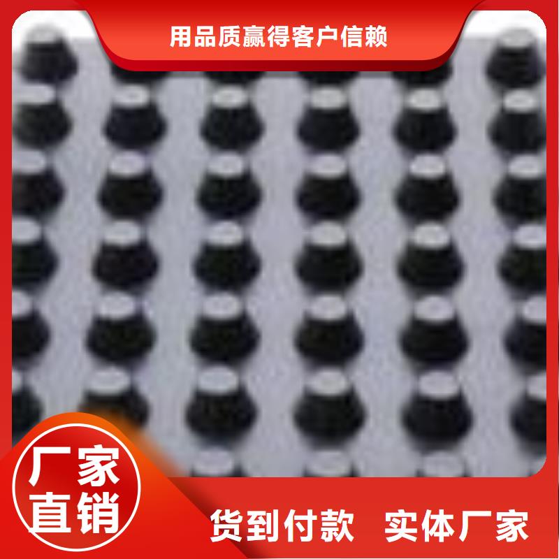 塑料排水板双向塑料土工格栅工厂采购