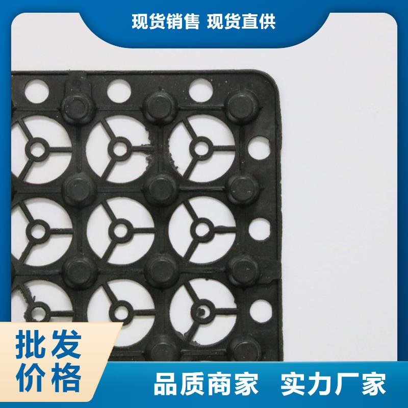 塑料排水板防渗土工膜严选好货