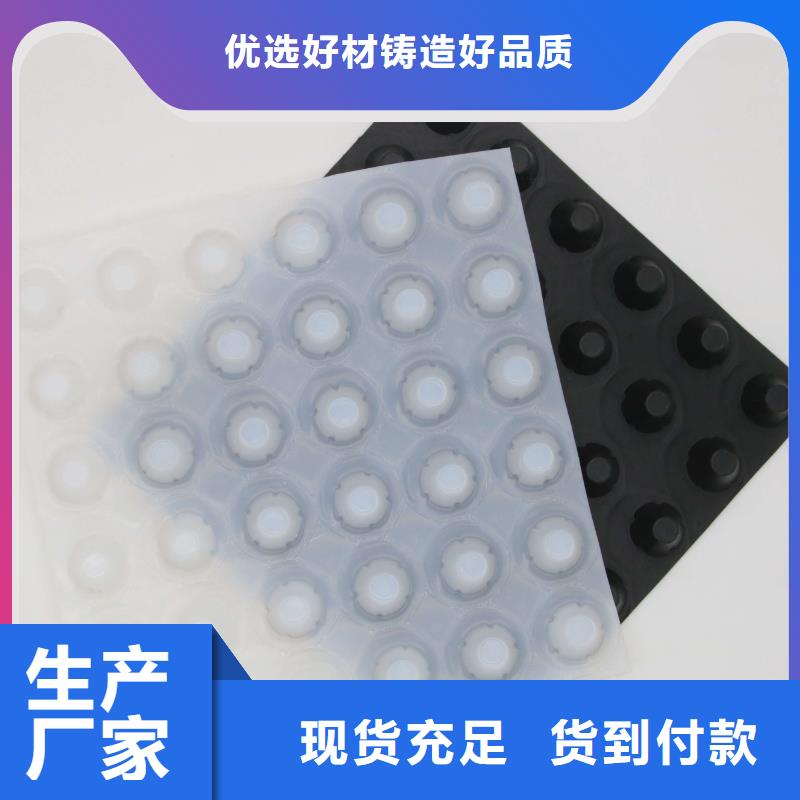 塑料排水板复合土工膜高标准高品质