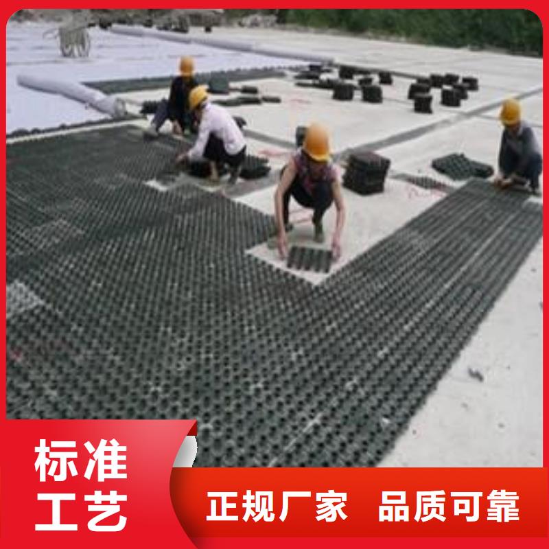 【塑料排水板-钢塑土工格栅N年大品牌】