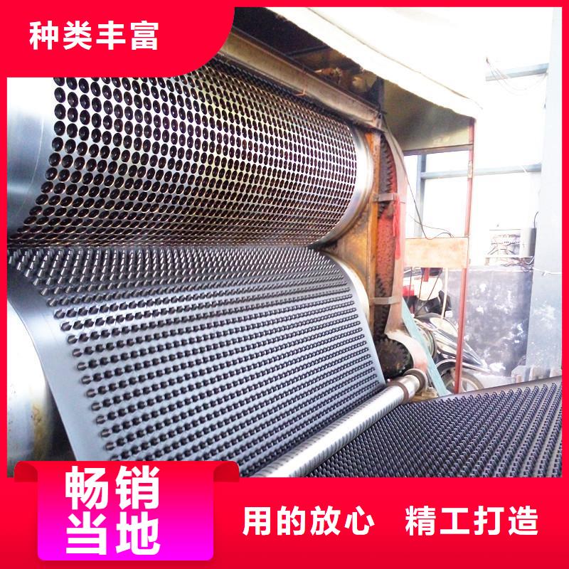 塑料排水板复合土工膜高标准高品质