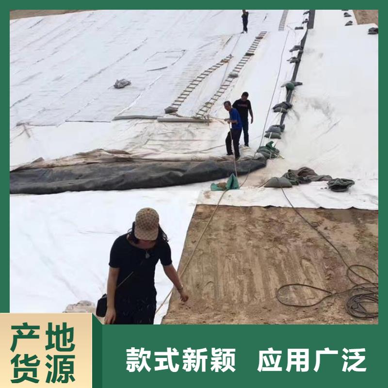 三维复合排水网透水土工布实体厂家大量现货