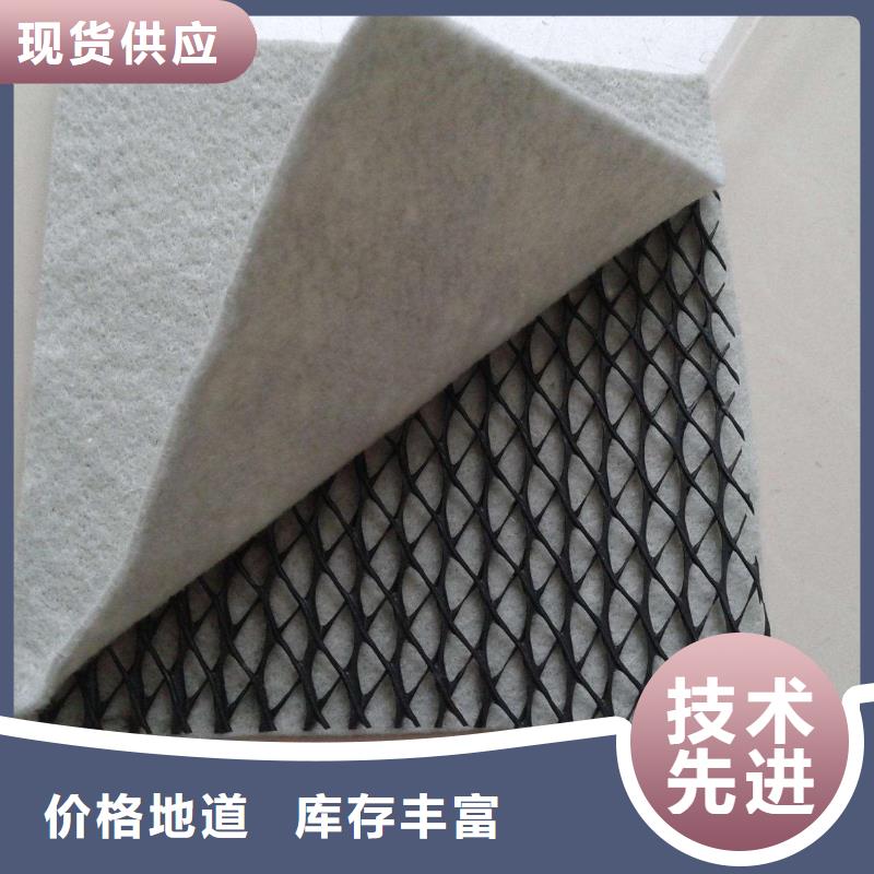 三维复合排水网-钢塑土工格栅48小时发货