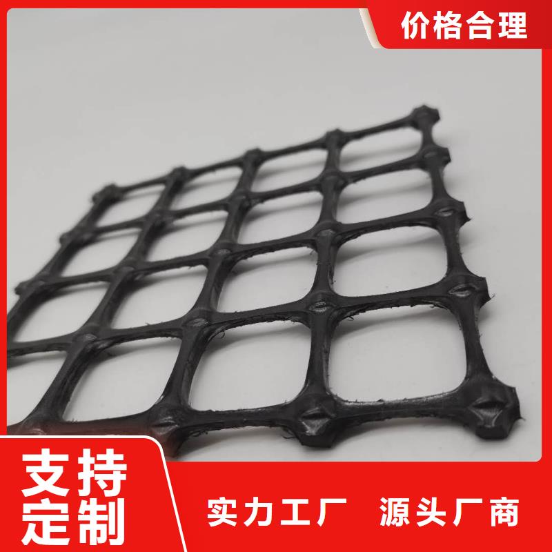 塑料土工格栅三维植被网工厂现货供应