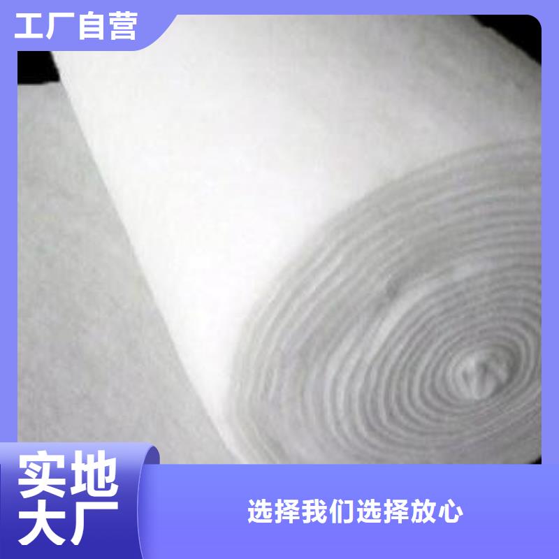 甄选:【按需设计 土工布 涤纶格栅用品质赢得客户信赖】