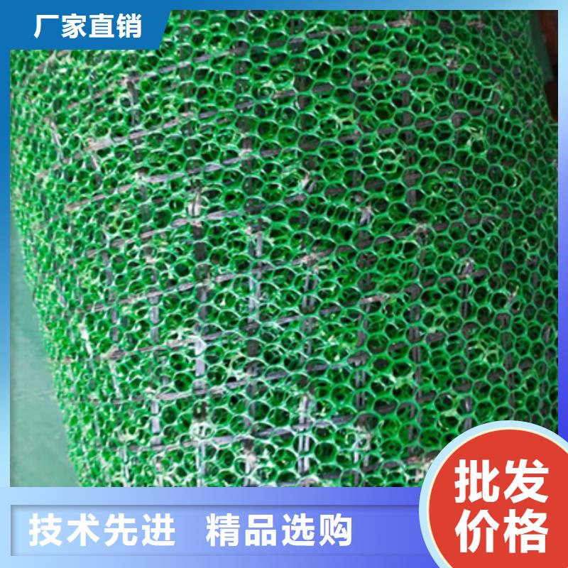 三维植被网三维土工网垫满足多种行业需求