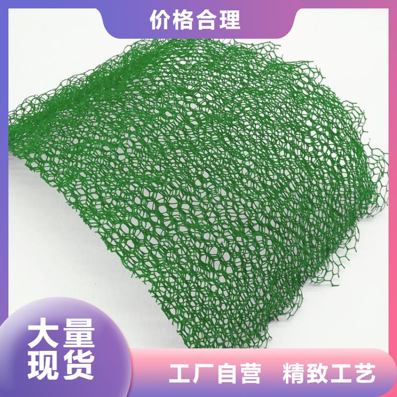 三维植被网涤纶土工格栅品质可靠