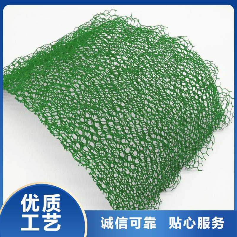 三维植被网单向塑料格栅工程施工案例