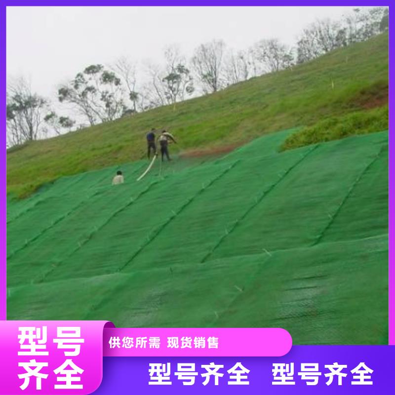 三维植被网双向塑料土工格栅多种规格可选
