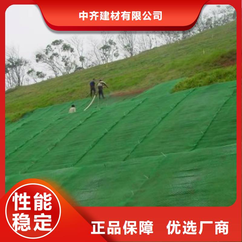 三维植被网单向塑料格栅工程施工案例